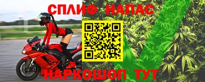 прущие грибы Обь