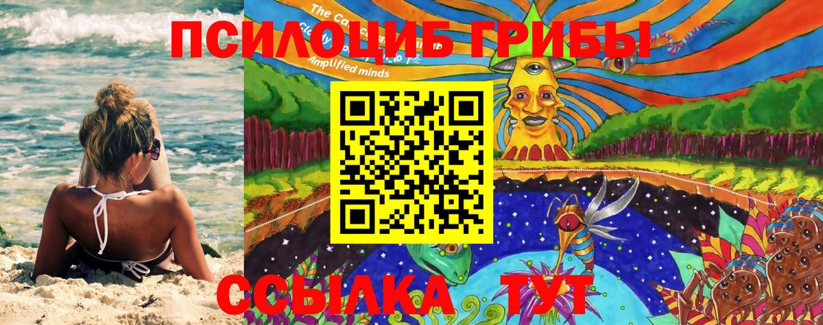 Галлюциногенные грибы мицелий Сыктывкар
